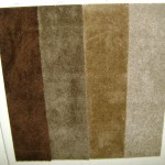 GREAT VIBE CARPET